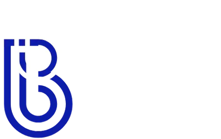 BEATSBUDDY™